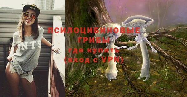 мдпв Балахна