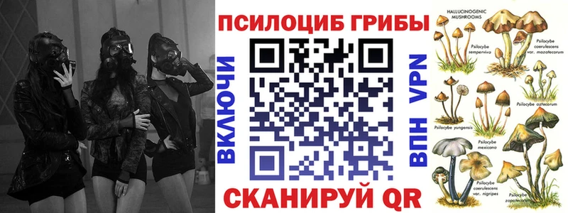 цена   Гороховец  Псилоцибиновые грибы мицелий 